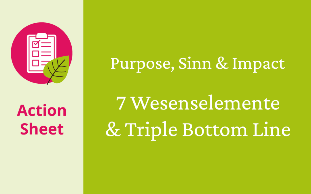 Action Sheet: 7 Wesenselemente & Triple Bottom Line