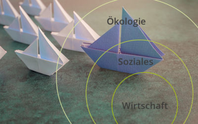 Führen mit dem Fokus auf die Triple-Bottom-Line